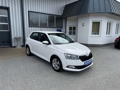 Skoda Fabia Gebrauchtwagen Skoda Fabia Gebrauchtwagen