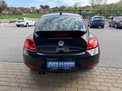 VW Beetle Gebrauchtwagen VW Beetle Gebrauchtwagen