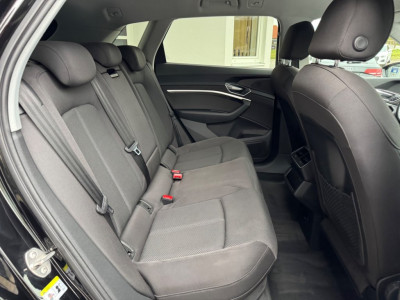 Audi Q8 e-tron Gebrauchtwagen