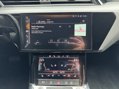 Audi Q8 e-tron Gebrauchtwagen