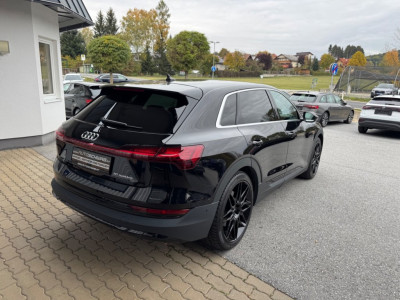 Audi Q8 e-tron Gebrauchtwagen