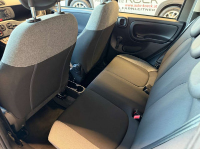 Fiat Panda Gebrauchtwagen