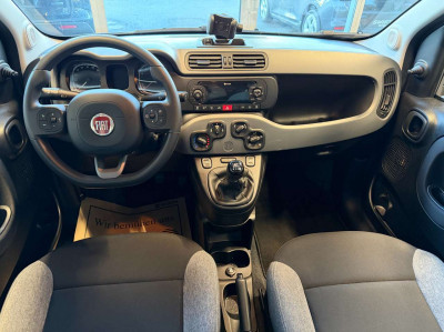 Fiat Panda Gebrauchtwagen