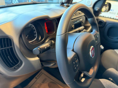 Fiat Panda Gebrauchtwagen
