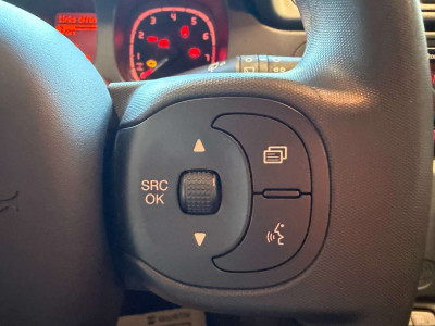 Fiat Panda Gebrauchtwagen