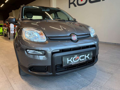 Fiat Panda Gebrauchtwagen