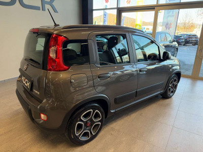 Fiat Panda Gebrauchtwagen