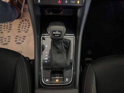 Skoda Karoq Gebrauchtwagen