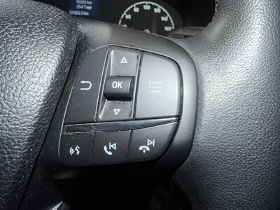 Ford Transit Custom Gebrauchtwagen