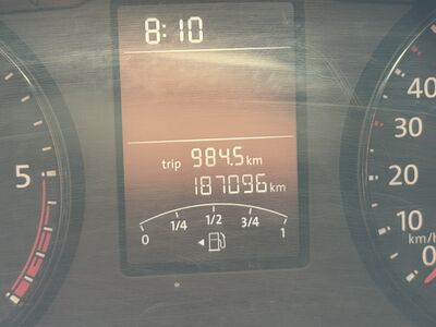 VW Transporter T6 Gebrauchtwagen