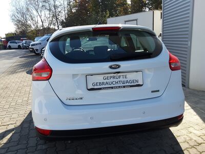 Ford Focus Gebrauchtwagen