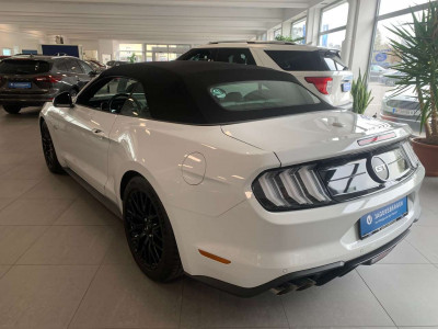 Ford Mustang Tageszulassung