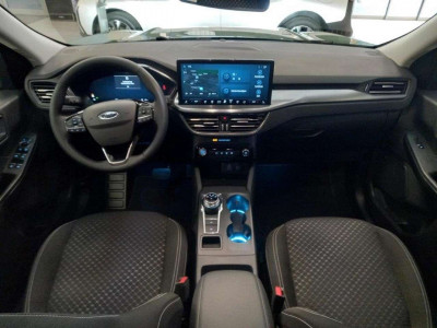 Ford Kuga Vorführwagen