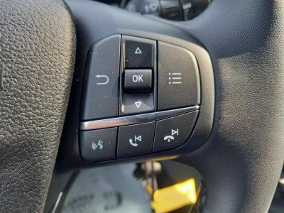 Ford Transit Vorführwagen