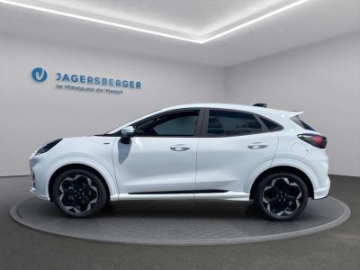 Ford Puma Vorführwagen Ford Puma Vorführwagen
