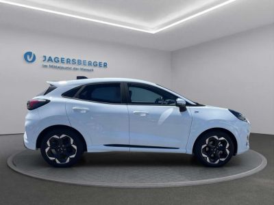 Ford Puma Vorführwagen Ford Puma Vorführwagen