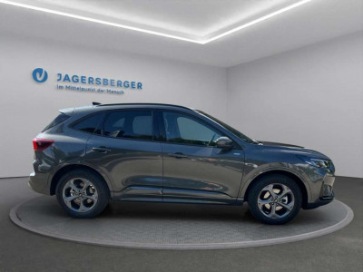 Ford Kuga Vorführwagen