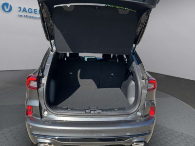 Ford Kuga Vorführwagen