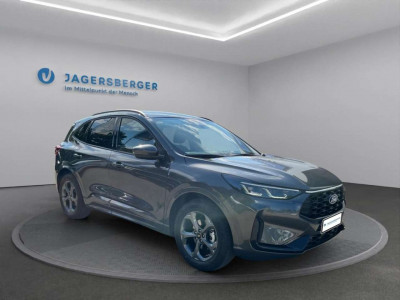 Ford Kuga Vorführwagen