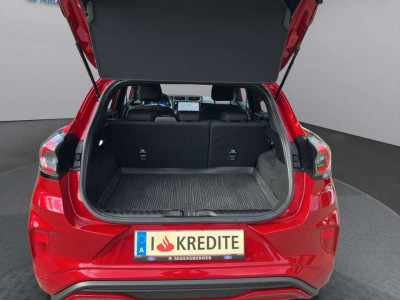 Ford Puma Gebrauchtwagen Ford Puma Gebrauchtwagen