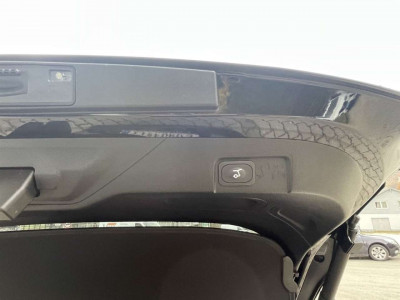 Ford Puma Gebrauchtwagen Ford Puma Gebrauchtwagen