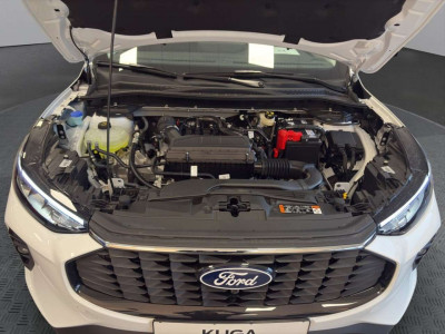 Ford Kuga Neuwagen Ford Kuga Neuwagen