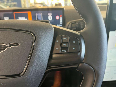 Ford Mustang Mach-E Vorführwagen