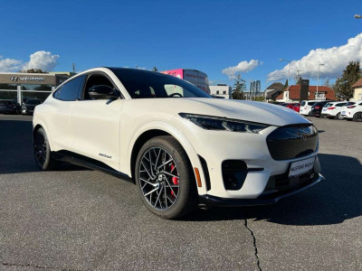 Ford Mustang Mach-E Vorführwagen