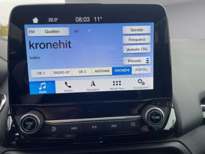 Ford EcoSport Gebrauchtwagen