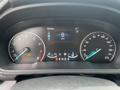 Ford EcoSport Gebrauchtwagen