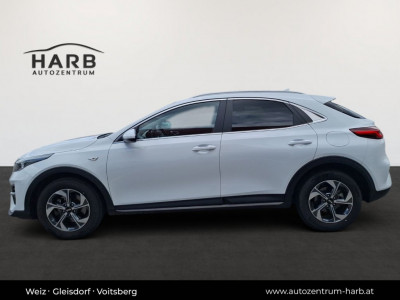 KIA XCeed Gebrauchtwagen