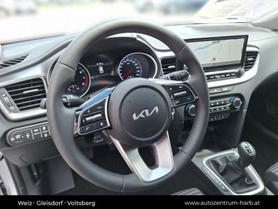 KIA Ceed Tageszulassung