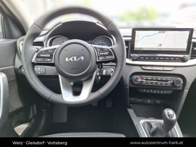 KIA Ceed Tageszulassung