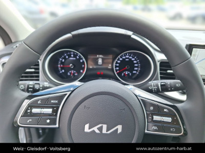 KIA Ceed Tageszulassung