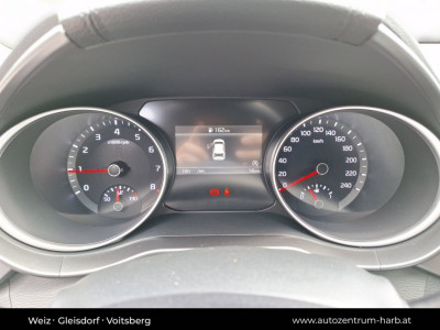 KIA Ceed Tageszulassung