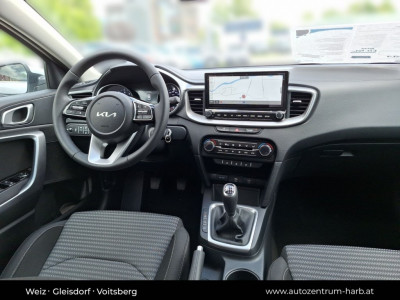 KIA Ceed Tageszulassung