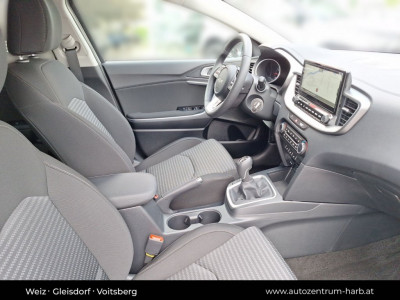 KIA Ceed Tageszulassung