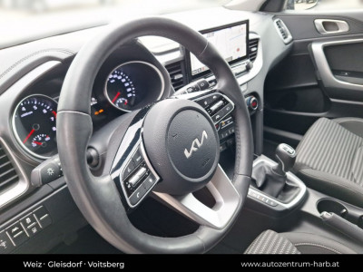 KIA Ceed Vorführwagen