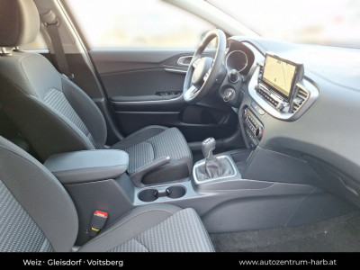 KIA Ceed Tageszulassung