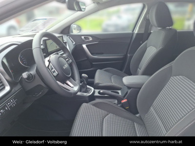 KIA Ceed Tageszulassung