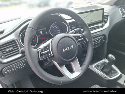 KIA Ceed Tageszulassung