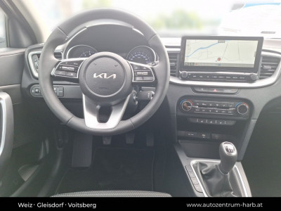 KIA Ceed Tageszulassung