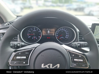 KIA Ceed Tageszulassung