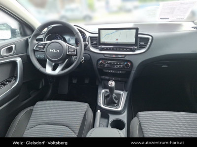 KIA Ceed Tageszulassung