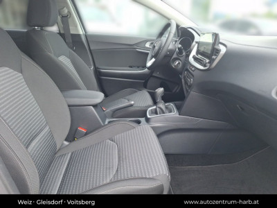 KIA Ceed Tageszulassung