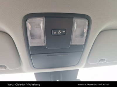 KIA Ceed Tageszulassung