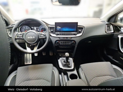 KIA Ceed Tageszulassung