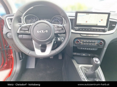 KIA Ceed Vorführwagen