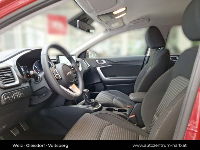 KIA Ceed Tageszulassung