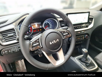 KIA Ceed Tageszulassung